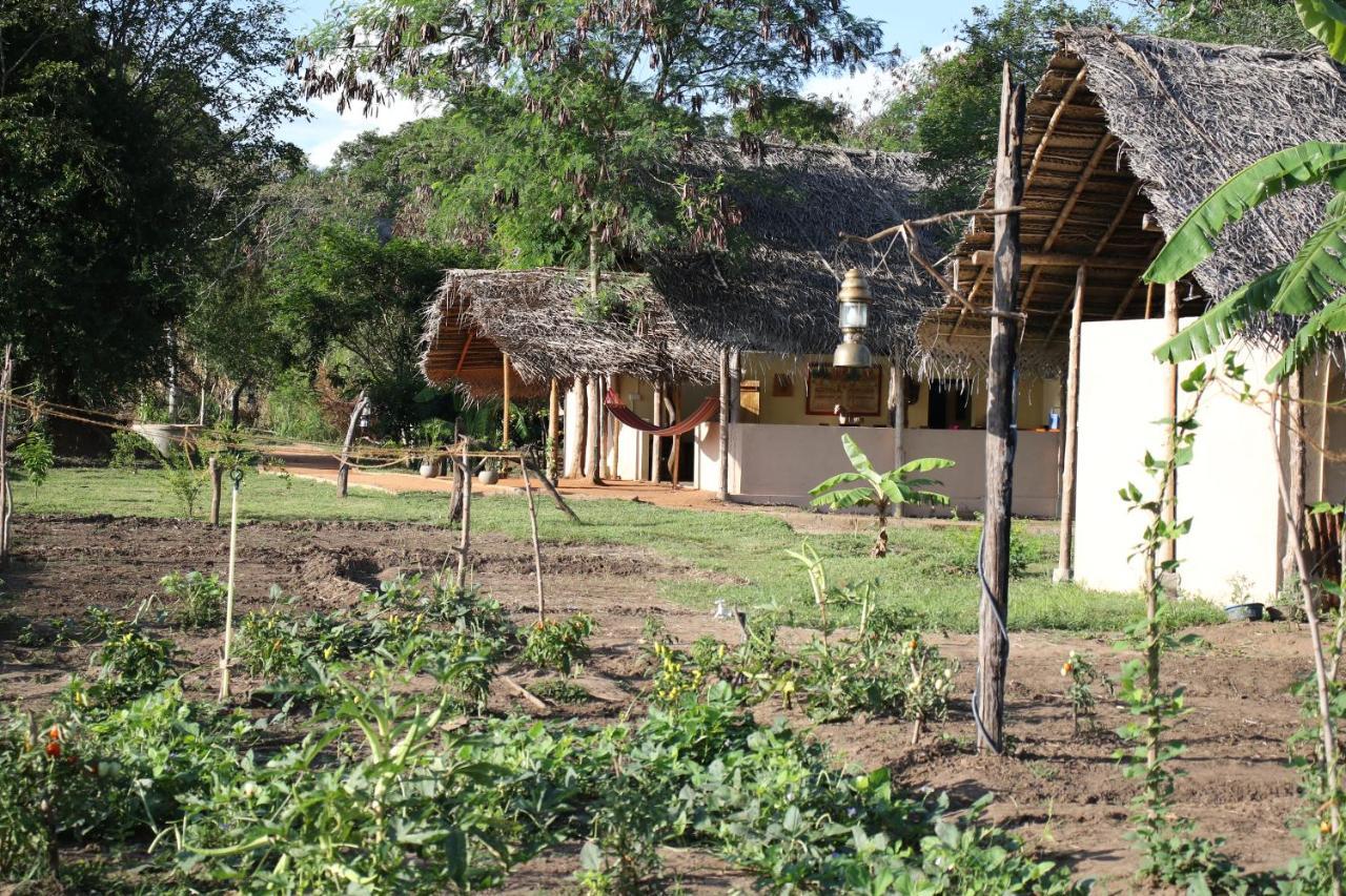 Nirvaan Safari Lodge Wilpattu Nationalpark Exterior foto