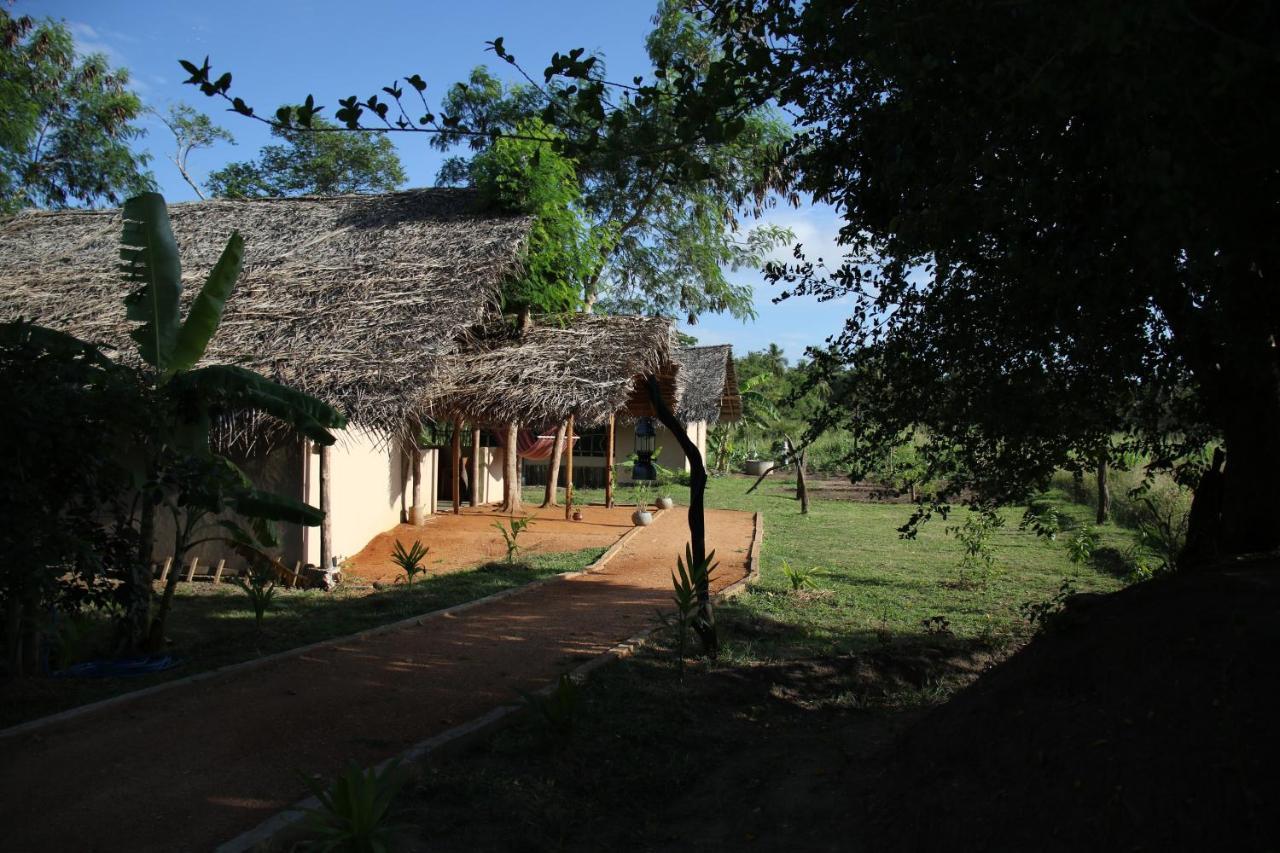 Nirvaan Safari Lodge Wilpattu Nationalpark Exterior foto