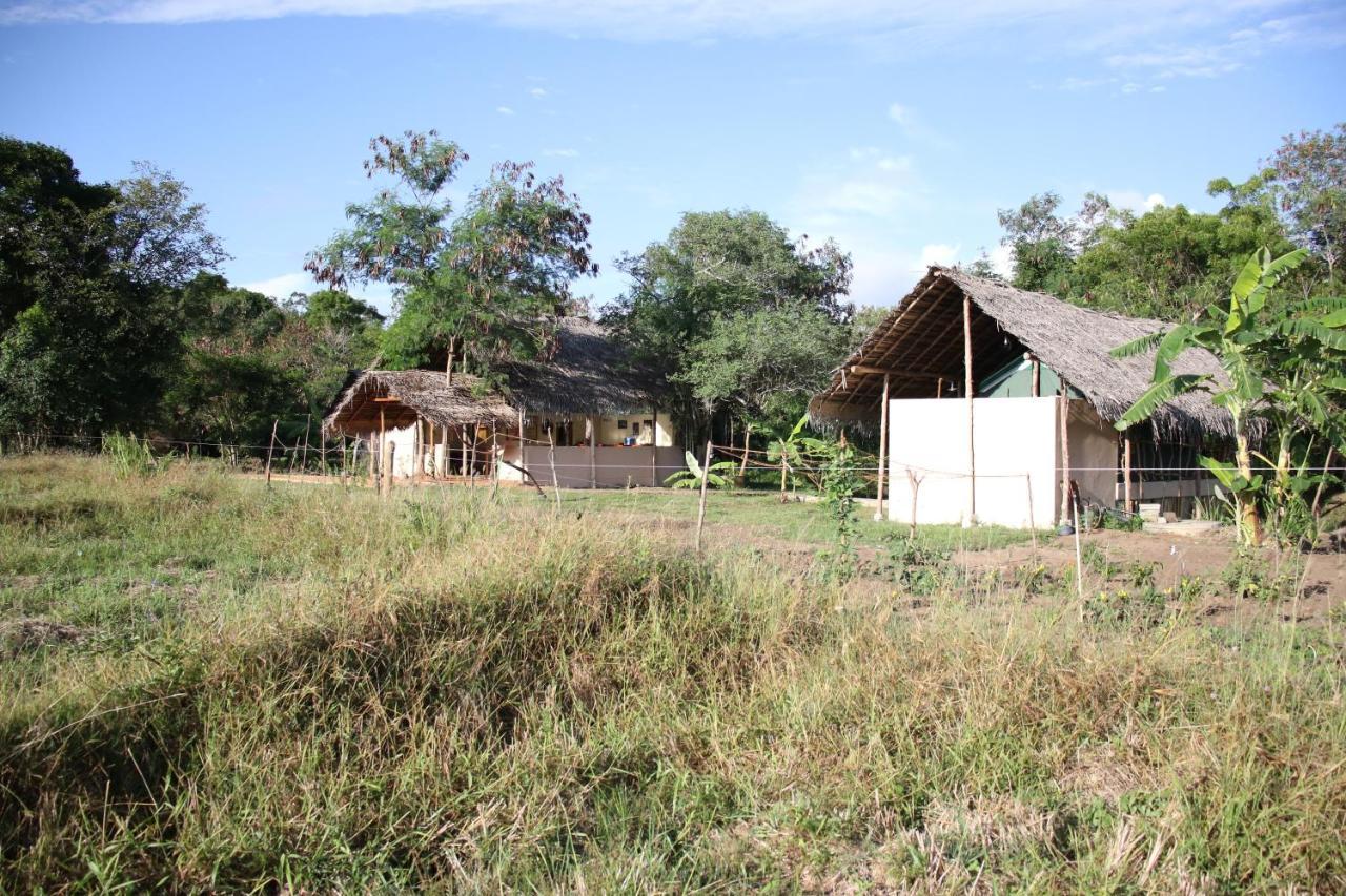 Nirvaan Safari Lodge Wilpattu Nationalpark Exterior foto