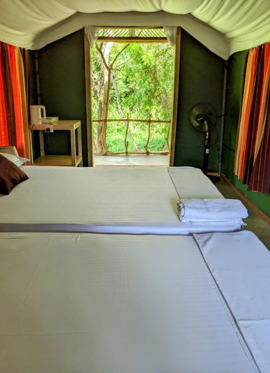 Nirvaan Safari Lodge Wilpattu Nationalpark Exterior foto