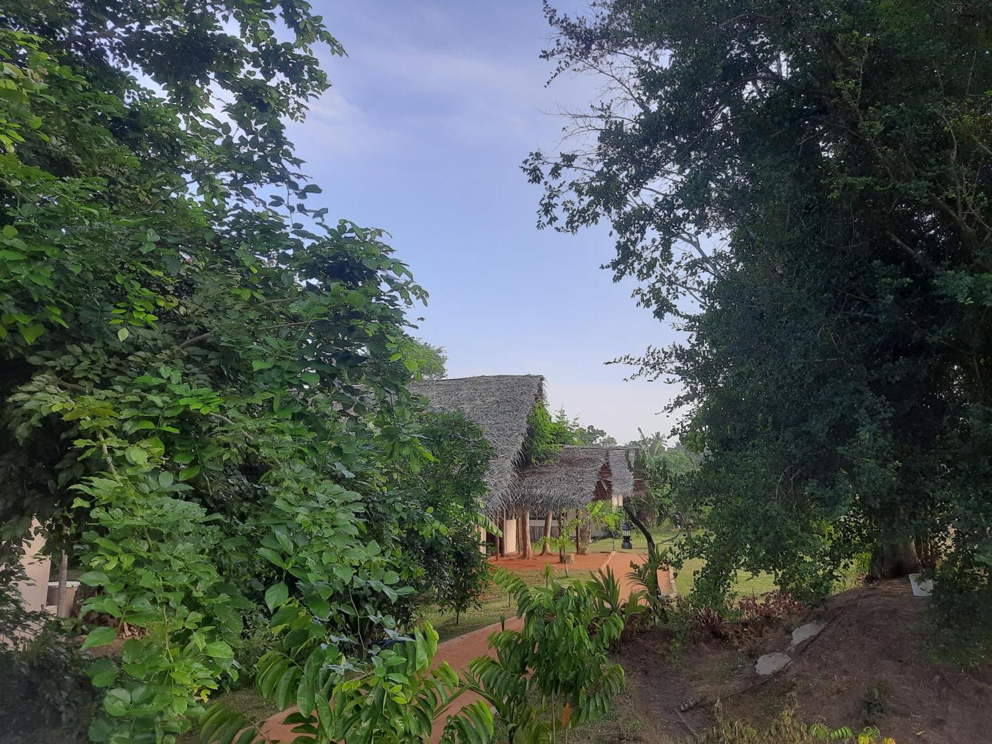 Nirvaan Safari Lodge Wilpattu Nationalpark Exterior foto